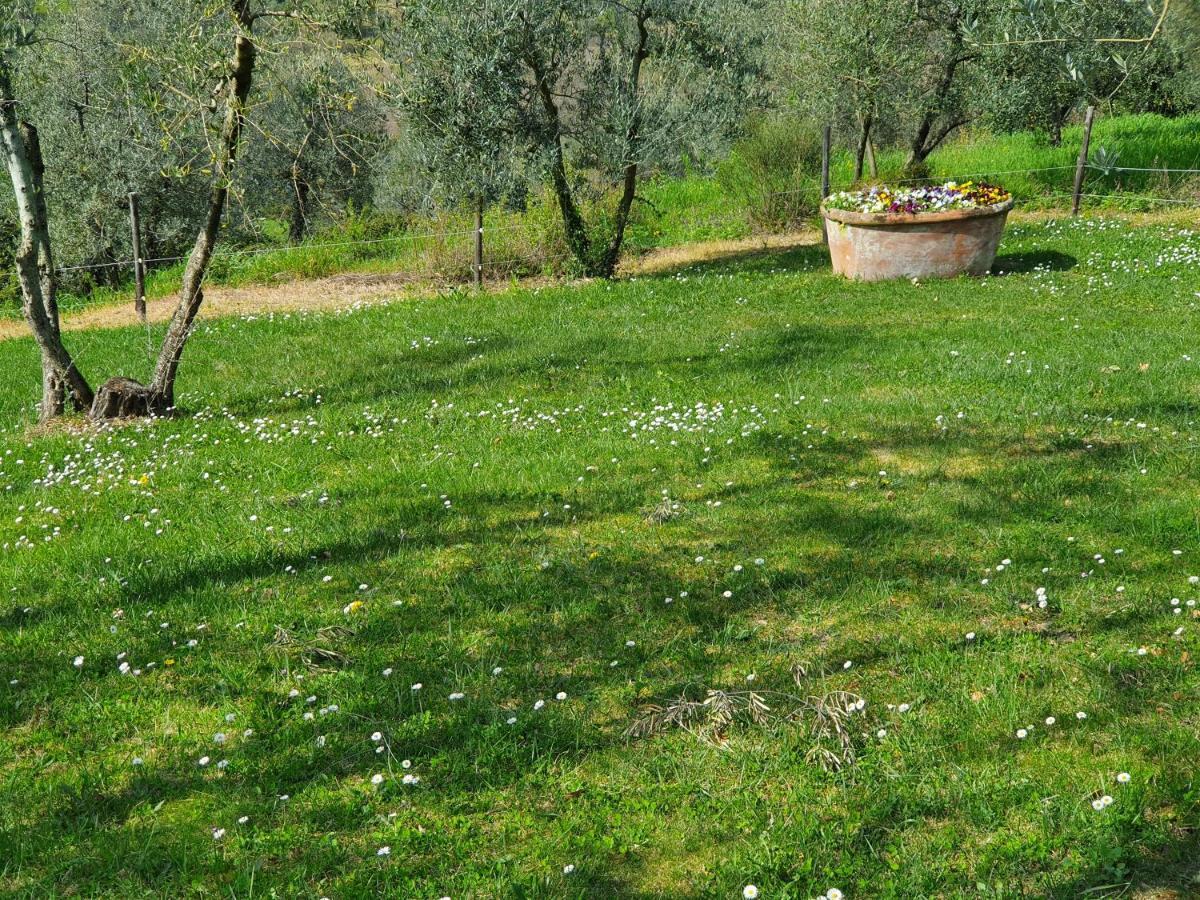 Residenza Il Colle Bed & Breakfast Impruneta Exterior photo